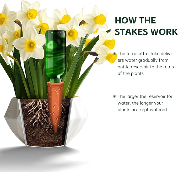 Wine Bottle Watering Spikes, Terracotta Watering Spikes for Out | Indoor Plants, Self Watering Planter Insert, Vacation Plant Watering Devices, Clay Plant Watering Globes, 8-Pack