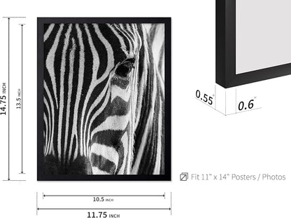 Poster Master Photograph Poster - Image 3
