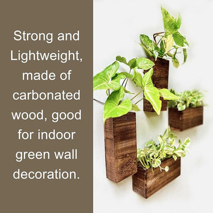 LaLaGreen Wood Planter Box for Plants Wooden Hanging Wall Planters for Indoor - Image 5