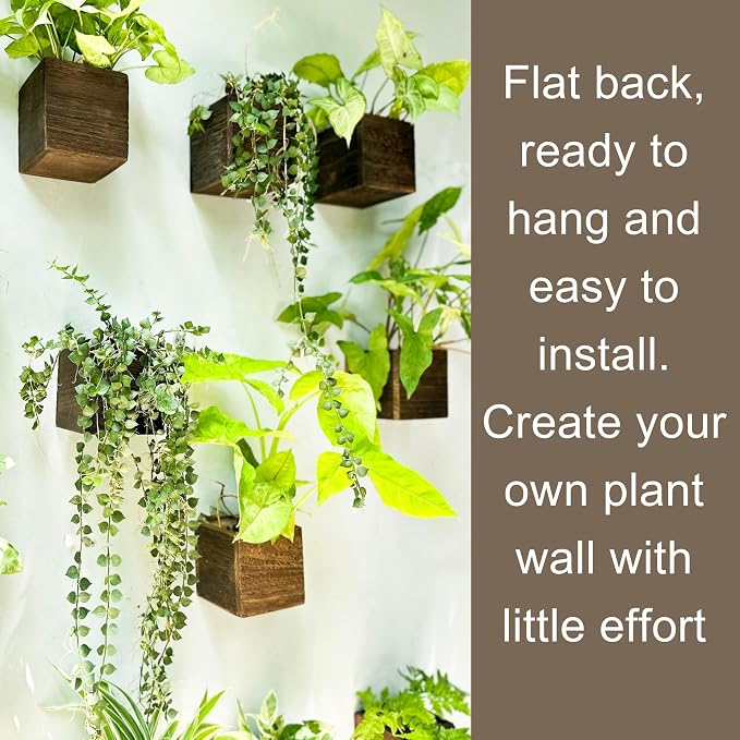LaLaGreen Wood Planter Boxes Small Square Wooden Wall Mounted Flower Pot - Image 5