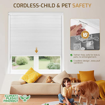 Grandekor No Drill No Tools Cordless Cellular Shades, UV Protection Privacy No - Image 4