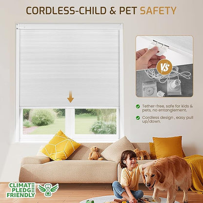 Grandekor No Drill No Tools Cordless Cellular Shades, UV Protection Privacy No - Image 4