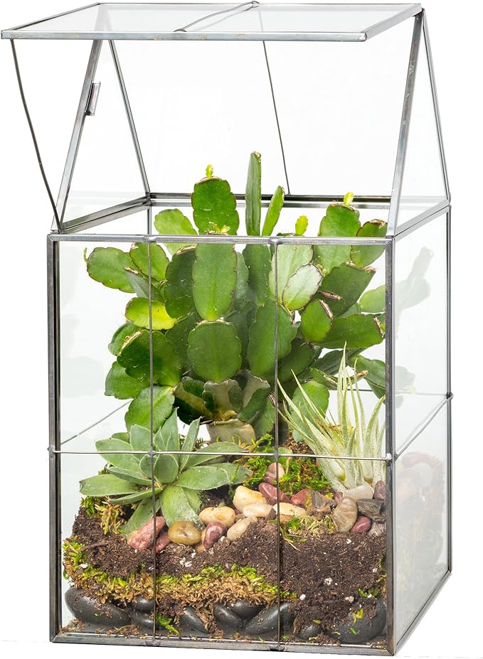 D'Eco Glass Geometric Plant Terrarium (6"x5"x11") - Indoor Tabletop Black Hinged Roof Planter Terrarium for Succulents, Air Plants, Moss - Home, Garden, Wedding & Office Decor- Gift for Plant Lovers