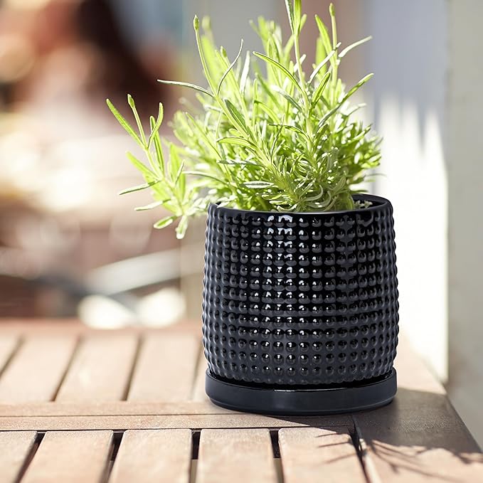 D'vine Dev 4 Inch Ceramic Beaded Stoneware Planter Pot - Flower Pot with Drainage Holes and Saucers for Indoor Succulent Plants or Flowers, Glossy Black, 27-C-Z-2