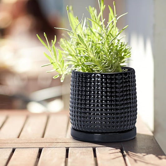 D'vine Dev 4 Inch Ceramic Beaded Stoneware Planter Pot - Flower Pot with Drainage Holes and Saucers for Indoor Succulent Plants or Flowers, Glossy Black, 27-C-Z-2
