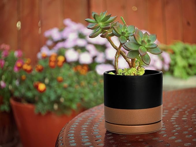 D'vine Dev Set of 4 Small Ceramic Plant Pots, 4.6 Inch Succulent Planter Pot for Plants with Drainage Hole and Saucer, Black/Speckled Tan, 94-X-B-7