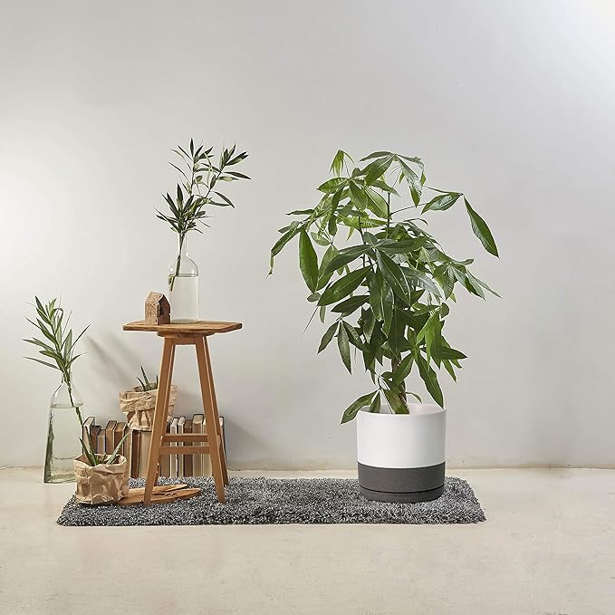 D'vine Dev Set of 2 Plants Pots, 10 Inch Ceramic Planter Pot for Plants with Drainage Hole and Saucer, White/Speckled Grey, 94-V-E-6