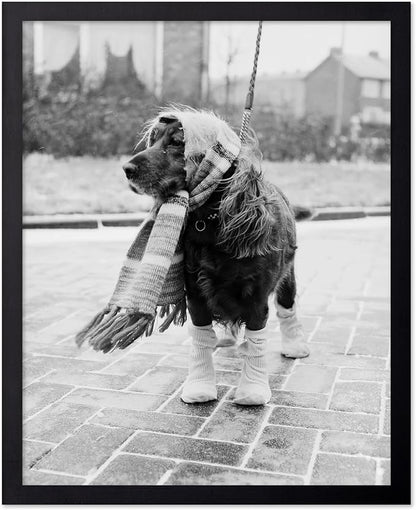 Poster Master Dog Dressed for Winter Print by PosterMaster