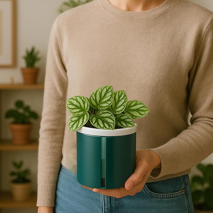 D'vine Dev 4 Inch Design Self Watering Planter for Indoor Plants, White Terracotta Pot with Teal Cylinder Glass Cup, Set of 3,37-Z-A-5-T