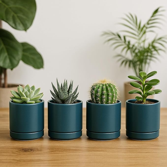 D'vine Dev Set of 4 Small Ceramic Plant Pots, 3.5 Inch Succulent Planter Pot for Plants with Drainage Hole and Saucer, Teal, 94-X-A-9