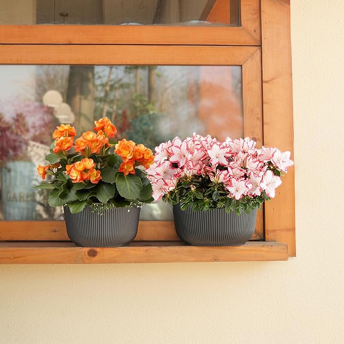 T4U 10 Inch Self Watering Planters, Plant Pots for Indoor and Outdoor Use, Home Decor Flower Pots, Plastic Planters with Drainage Hole & Plug for Plants, Flowers, Cactus, Garden, Set of 2, Gray