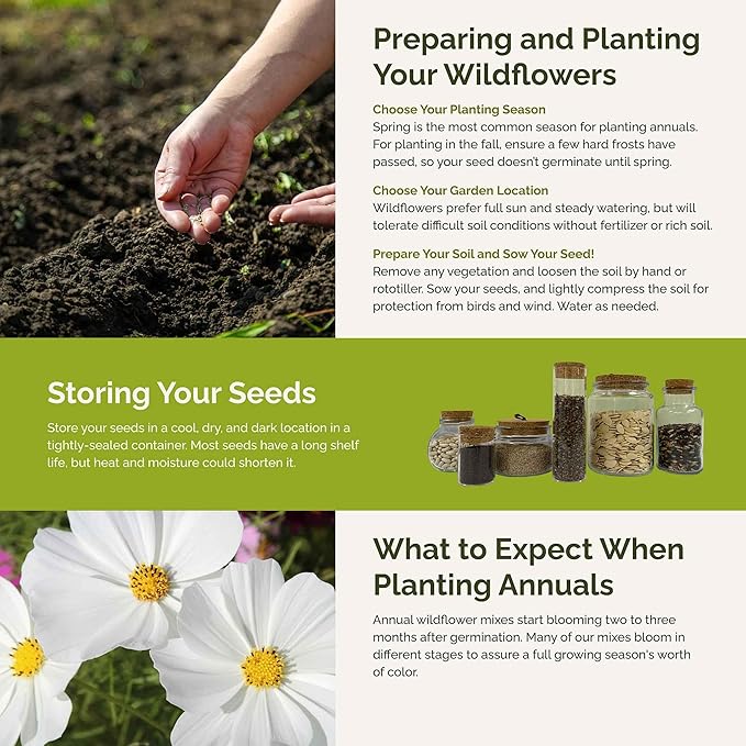 Eden Brothers Moon Garden Flower Mixed Seeds for Planting, 1/4 lb, 120,000+ Seeds with Cosmos Purity, Bishop's Flower | Attracts Pollinators, Plant in Spring or Fall, Zones 3, 4, 5, 6, 7, 8, 9, 10