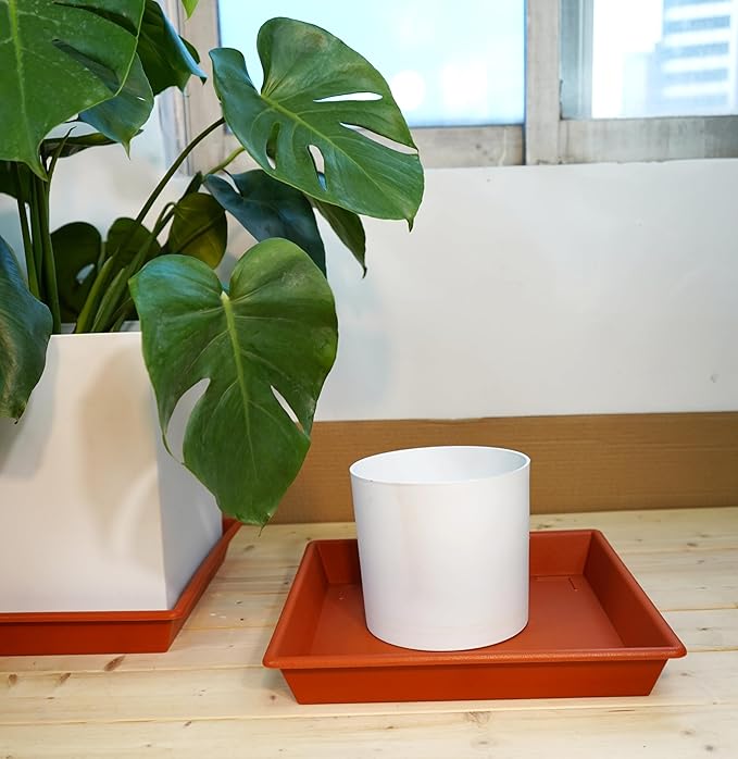 Square Plant Saucer 18 Inch 2 Pack, Large Plant Trays for Pots Heavy Duty Plastic Plant Saucers for Indoors Outdoors, Flower Pot Plant Drip Trays No Holes Terracotta Plant Lover Gardening Gifts