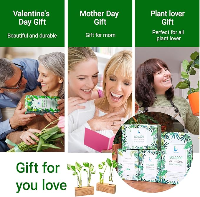 Ivolador Propagation Stations Double Test Tube Plants Terrariums in Wooden Stand Propagation Station for Hydroponic Plants Office Home Decoration