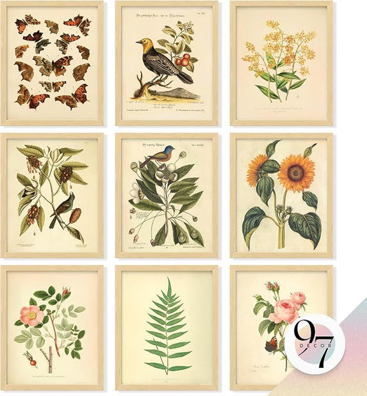 97 Decor Vintage Botanical Wall Art Decor by 97Decor