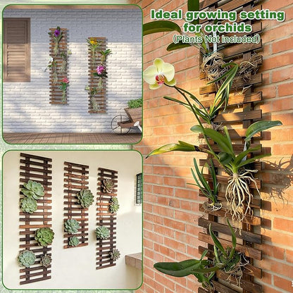 Mulctun Wall Planters - Image 4