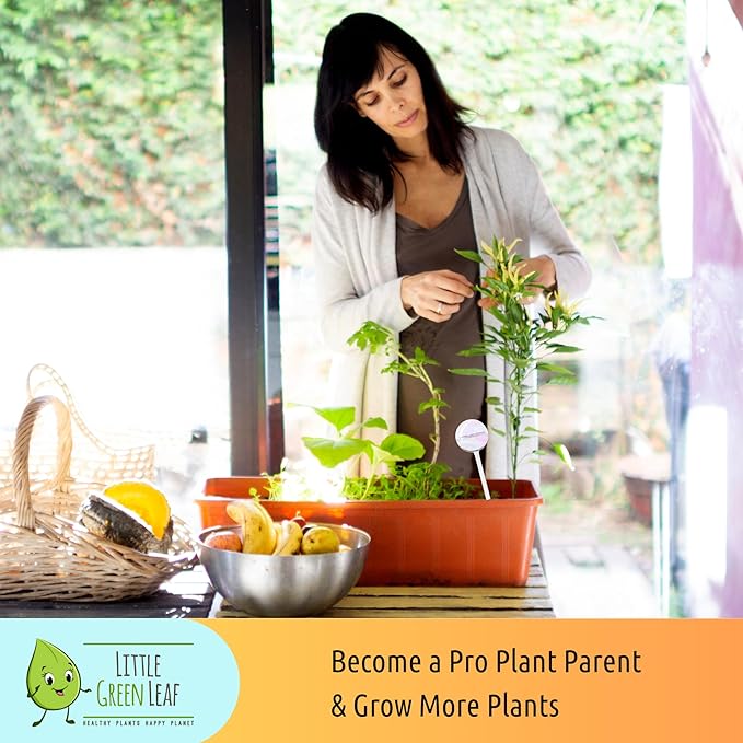 LGL Plant Watering Globes - Automatic Self Watering Globes. Decorative Self Watering Planter Inserts Made From Hand-Blown Durable Glass. Self Watering Spikes to Support Plant Health. 2 Pack, Medium.