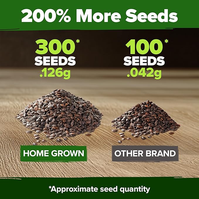 HOME GROWN 𝗨𝗦𝗔 𝗣𝗥𝗘𝗠𝗜𝗨𝗠 Aubrieta Rock Cress Purple, Flowering Ground Cover Seed Pack, Perennial Cress Seeds for Planting Outdoor Lawn Gardens 300 𝗡𝗢𝗡-𝗚𝗠𝗢 Aubrieta deltoidea Flower Seeds