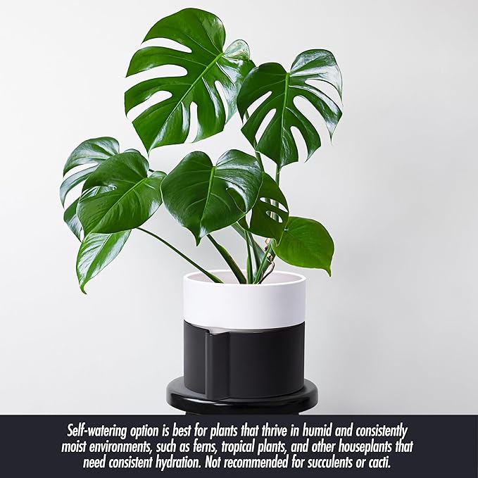 8 Inch Self-Watering Planter Pot with Terracotta Insert, Deep Water Reservoir, and Ceramic-Alike BPA-Free Plastic Planter Pot for Plant, Modern Planter for Houseplants, Black/White, 53-C-T-7