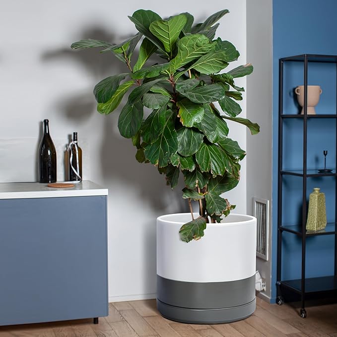 D'vine Dev 14 Inch Ceramic Planter Pot with Drainage Hole and Saucer, Indoor Cylinder Round Planter Pot, White/Speckled Grey, 94-O-G-6