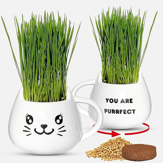 Organic Cat Grass Growing Kit - Promotes Natural Hairball Control and Digestive Wellness - Includes Organic Seed Mix, Nutrient-Rich Soil, and Stylish White Cat Planter