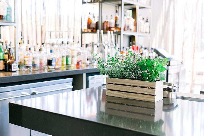 Wood Planter Box with Wine Crate Styled, 12x4 Inch Rectangular, Rose Wood, Plastic Liner, Garden Centerpiece Display, Wedding Flowers Holder, Home and Venue Decor (12x4 Wine Crate Set of 4, Rose Wood)