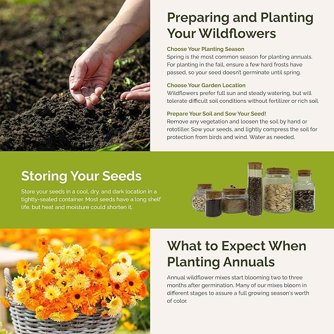 Eden Brothers Orange You Glad Flower Mixed Seeds for Planting, 1 lb, 480,000+ Seeds with Dahlia, Double Strawflower | Attracts Pollinators, Plant in Spring or Fall, Zones 3, 4, 5, 6, 7, 8, 9, 10