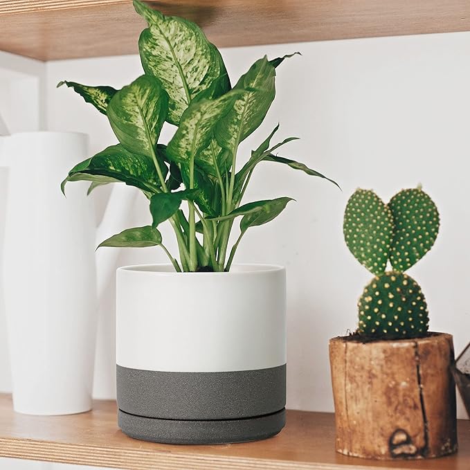 D'vine Dev 6 Inch & 8 Inch Ceramic Planter Pots for Plants with Drainage Hole and Saucer, Medium Plant Pots Set, White/Speckled Grey, 94-G-M-6
