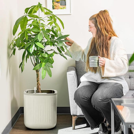 Vego garden Self Watering Pots Home Planters with Water Gauge for Effortless Indoor Plants Cream White