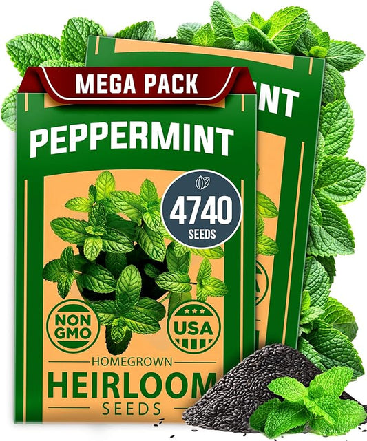 HOME GROWN Peppermint Seeds 2 Pack (Mentha × piperita) – 4,740 Heirloom Mint Seeds for Planting – 𝗡𝗢𝗡-𝗚𝗠𝗢, 𝗨𝗦𝗔-𝗦𝗢𝗨𝗥𝗖𝗘𝗗 – Grow Indoors or Outdoors, Kitchen Herb Garden Favorite