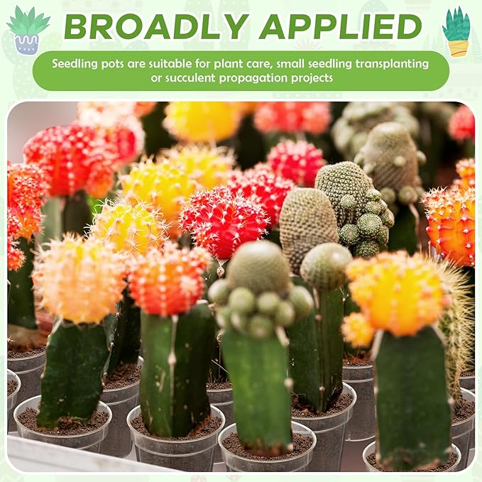 Yaomiao 200 Pcs 2 Inch Clear Mini Plastic Plant Pot Nursery Seedling Pots Seed Starter with Drainage Holes for Indoor Outdoor Garden Succulent Plants Cuttings Transplanting