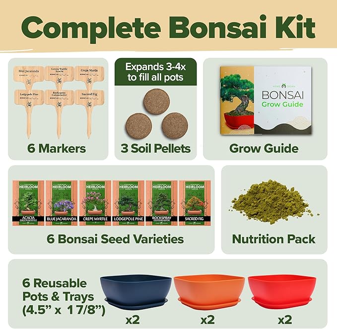 Bonsai Tree Kit - Gifts for Men & Women (Master Kit)