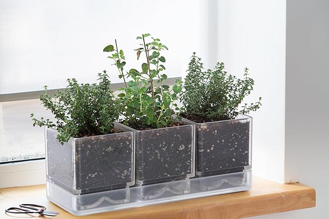 D'vine Dev Herb Garden Planter Set, Plastic Plant Pots with Drainage and Saucer, Indoor Succulent Cactus Vegetable Pot for Windowsill, Garden Balcony, Clear, Set of 1, 76-V-D-1