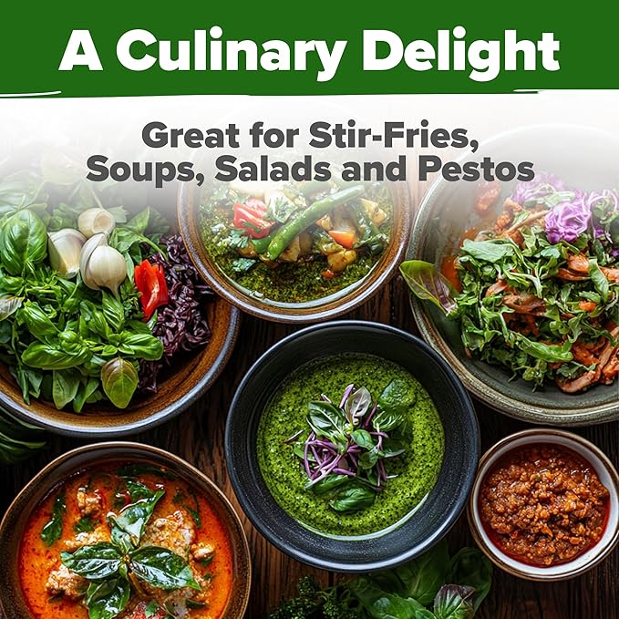 HOME GROWN Thai Basil Seeds Pack - 438 High Germination 𝗡𝗢𝗡-𝗚𝗠𝗢 𝗨𝗦𝗔 Heirloom Herb Seeds for Planting,Ideal for Growing Fresh Basil Planting Indoor or Outdoor(Ocimum basilicum var.thyrsiflora)