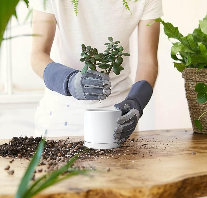 D'vine Dev Set of 4 Small Ceramic Plant Pots, 4.6 Inch Succulent Planter Pot for Plants with Drainage Hole and Saucer, White, 94-X-B-1