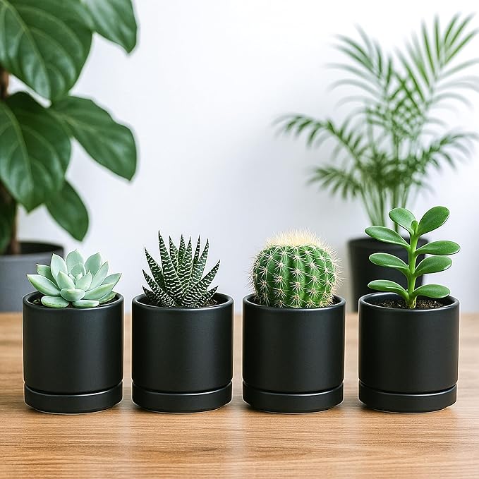 D'vine Dev Set of 4 Small Ceramic Plant Pots, 3.5 Inch Succulent Planter Pot for Plants with Drainage Hole and Saucer, Black, 94-X-A-2