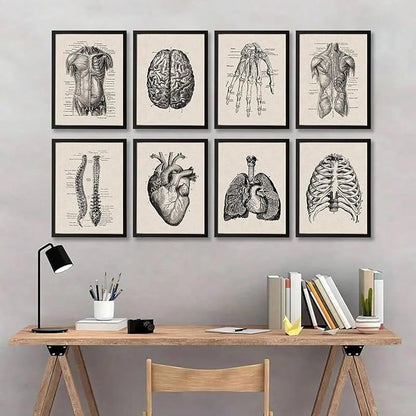 Ohhvvow Human Anatomy Artwork Medical Wall Art Canvas, 8 * 10 Inch Muscle - Image 7