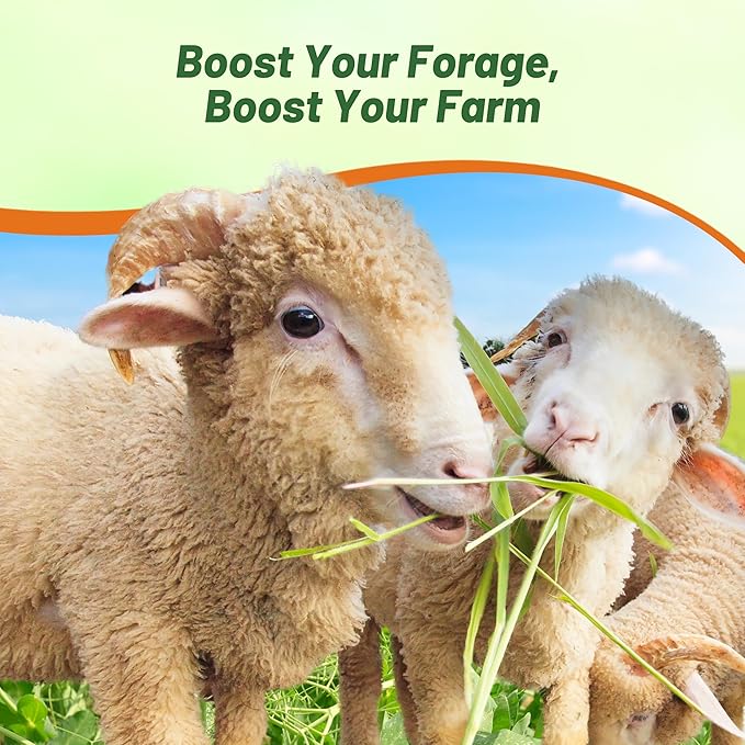 Outsidepride Dundale Spring Field Peas Seeds - 50 lbs. Annual, High-Protein Legume & Cover Crop Seeds for Forage, Food Plot, Gardens & Pastures - Ideal for Improving Soil Health, & Erosion Control