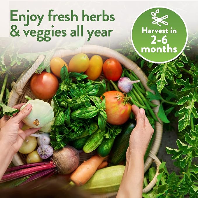 HOME GROWN 70 Variety Vegetable & Herb Seeds – 32,000+ USA Non-GMO Heirloom Survival Seeds –Garden Kit for Spring, Fall, Winter – Indoor & Outdoor Planting – Starter Set for Home Gardeners & Preppers