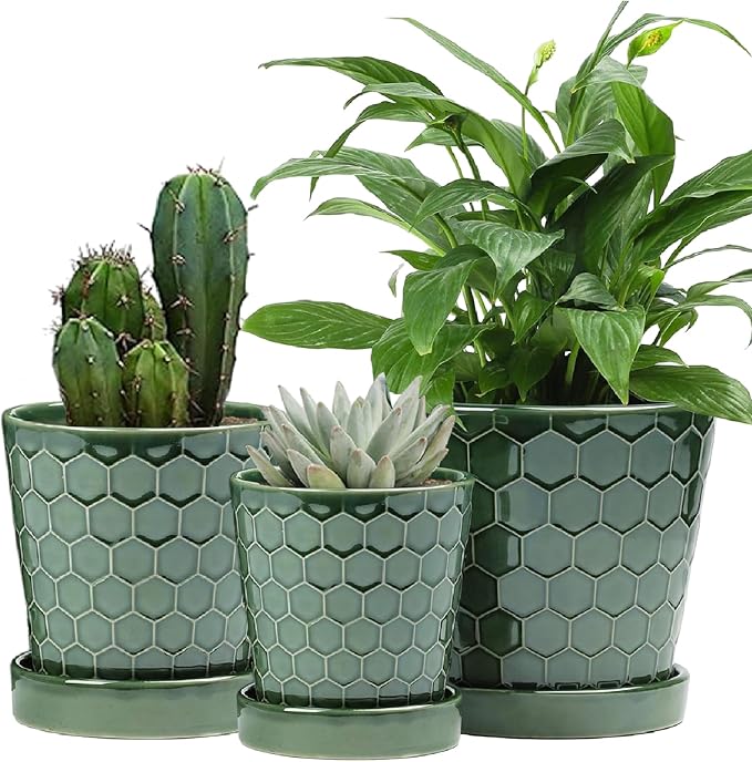 Ceramic Plant Pots,4+5+6 Inch Pots for Indoor Plants,Planters with Drainage Holes and Ceramic Tray, Indoor Flower Pots Gardening Home Desktop Office Windowsill Decoration Gift,Set of 3 (Patina)