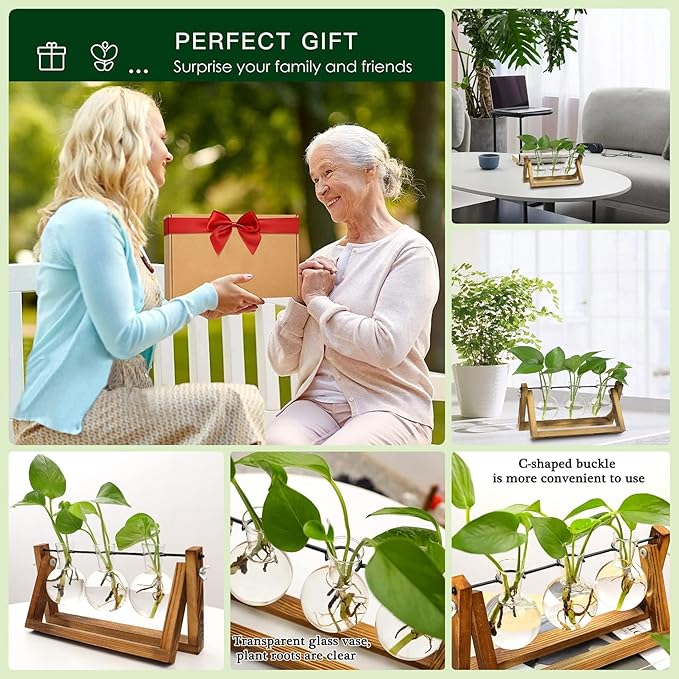 Kingbuy Desktop Glass Planter Iron and Wooden Stand Plant Terrariums for Indoor Office Desk Decor Accessories, 3 Bulb Vases, Brown