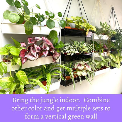 LaLaGreen Wall Hanging Planter - Image 4