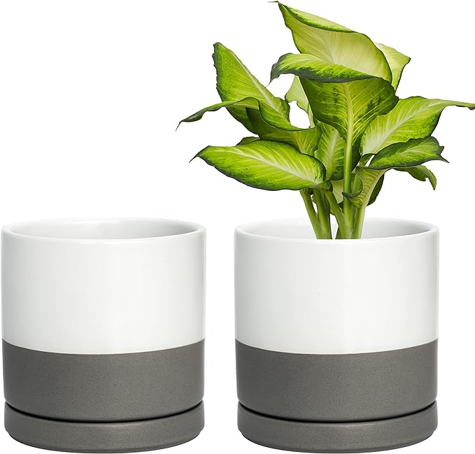 D'vine Dev Set of 2 Plants Pots, 6 Inch Ceramic Planter Pot for Plants with Drainage Hole and Saucer, White/Speckled Grey, 94-V-C-6