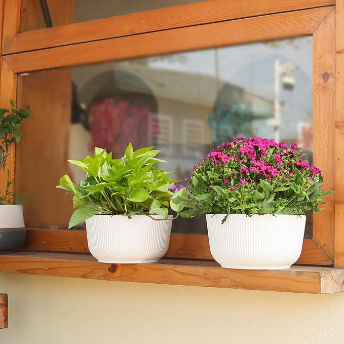 T4U Plant Pots 8 Inch, 2 Pack Self Watering Indoor Planter with Drainage Hole, Shallow Plant Pot, Home Decor Flower Pots for Plants, Herbs, Garden, White