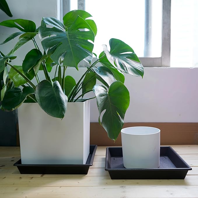 Square Plant Saucer 6 Inch 5 Pack6 8 12 14 16 18 20 Plant Trays for Pots Heavy Duty Plastic Plant Saucers for Indoors Outdoors, Flower Pot No Holes Plant Drip Trays