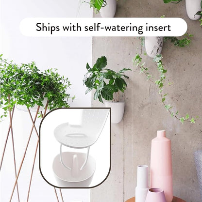 Make Good PlantPod Luxe - Image 3