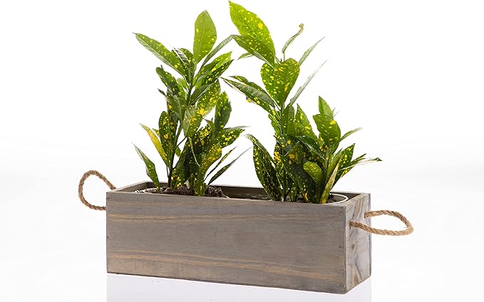 Wooden Planter Box with Handle, Rustic Barn Wood, Plastic Liner l Garden Decor l Restaurant and Wedding Decorations l Wedding Table Centerpiece (12x4 w Handle Set of 4, Natural)