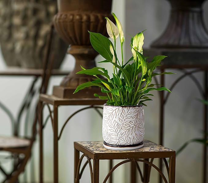 D'vine Dev 6 Inch Embossed Leaves Stoneware Planter Pot with Drainage Hole and Saucer, Smoked White, Set of 1, 27-A-X-1