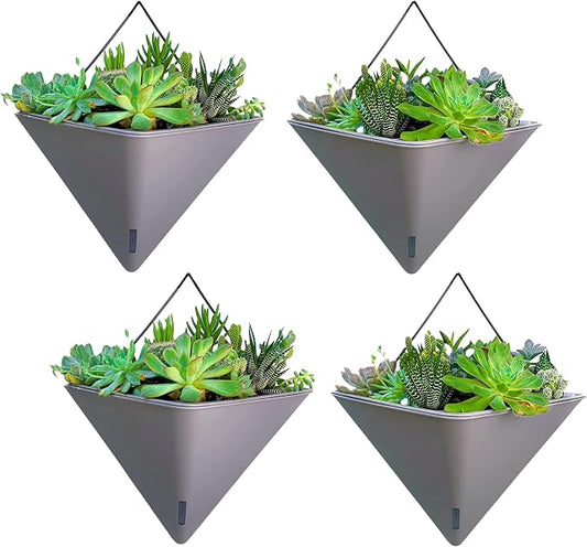 LaLaGreen Wall Planters for Indoor Plants by L%C3%A1L%C3%A1Green