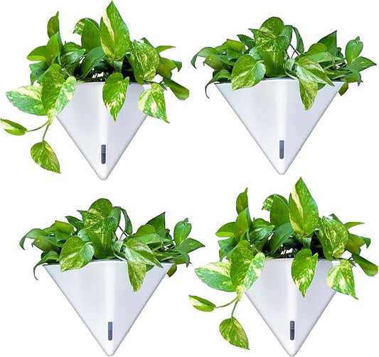 LaLaGreen Wall Planters for Indoor Plants by L%C3%A1L%C3%A1Green